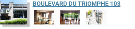 BOULEVARD DU TRIOMPHE 103